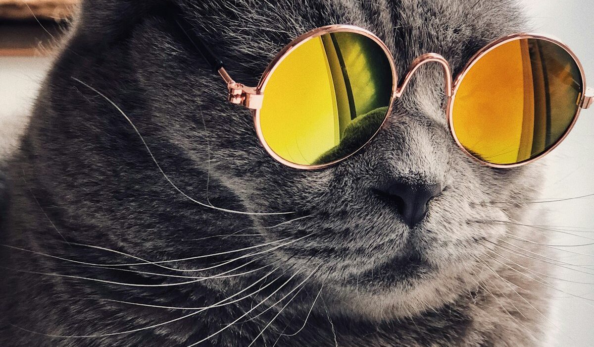 Garden Shelters & Awnings