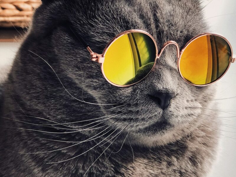 Garden Shelters & Awnings